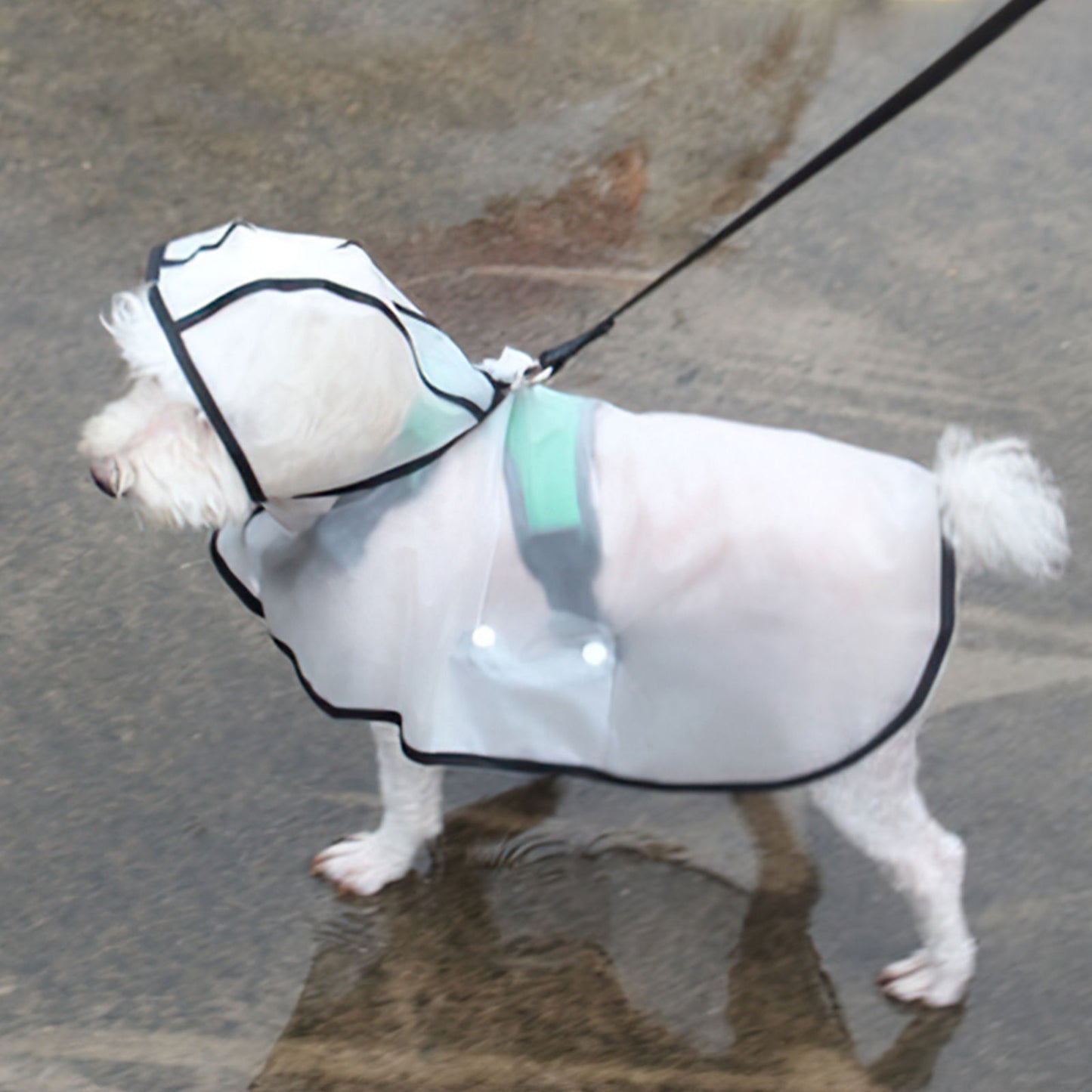 Pawfriends TPU Transparent Pet Cape Raincoat Large Dog Teddy Fado Koki Dog Dog Clothing L